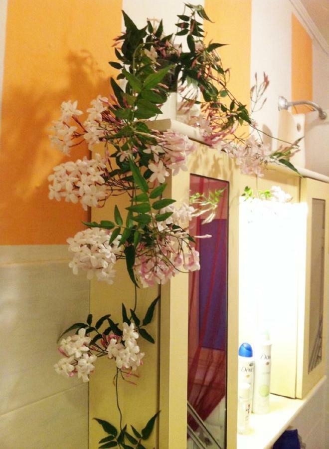 Casa "Oasi" Centro Storico Διαμέρισμα Tuscania Εξωτερικό φωτογραφία